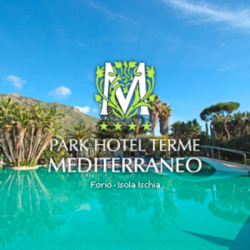 hotel mediterraneo ischia logo